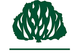 Igreja Presbiteriana do Brasil em Zé Doca